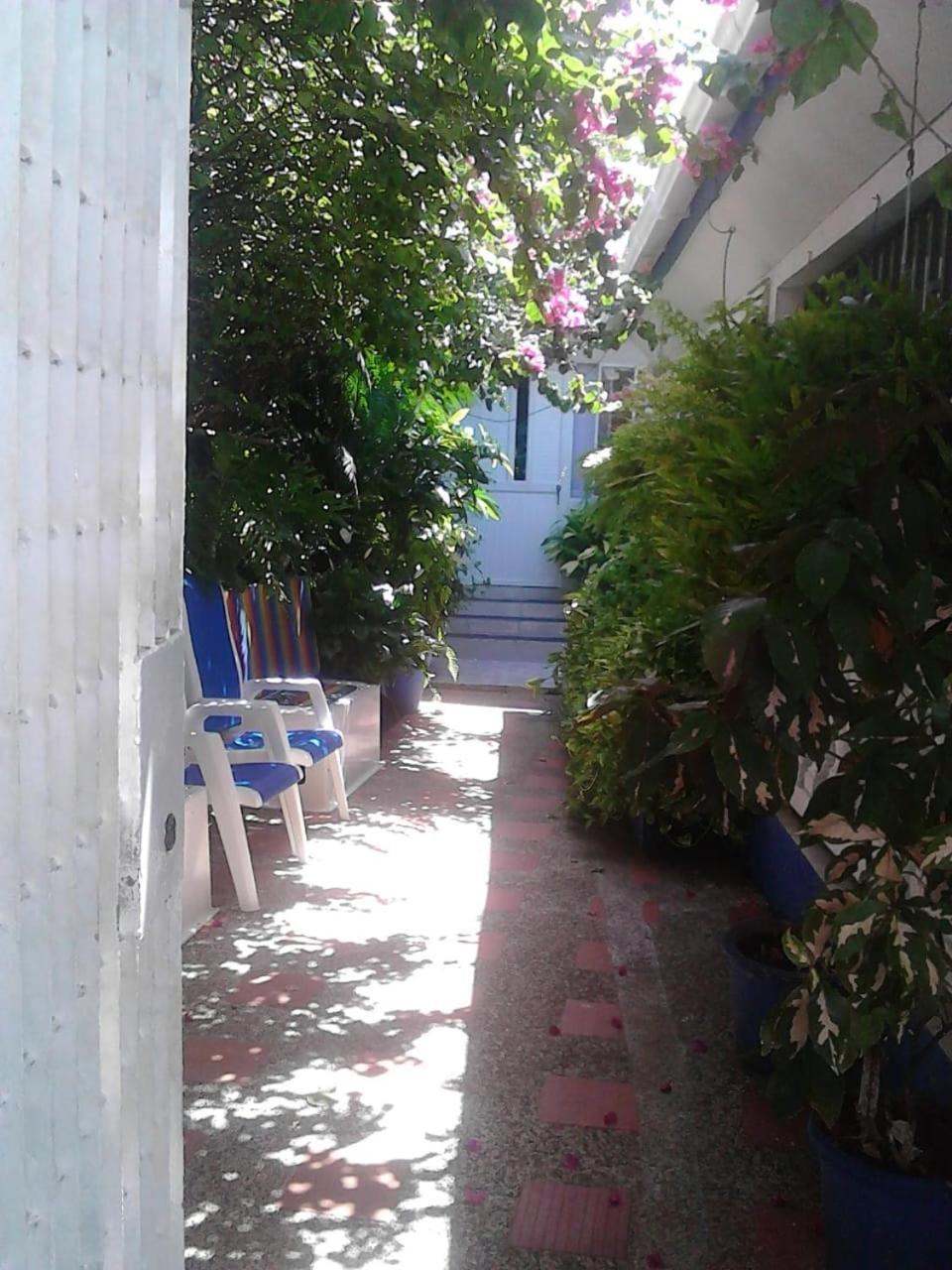 Vianova'S Place Posada Nativa San Andrés 외부 사진